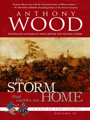 cover image of The Storm That Carries Me Home